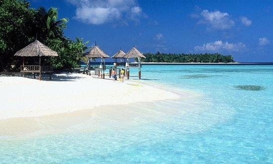 Trac bags Maldives account