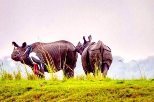 Domestic Tourism Upbeat on Overseas Visa Woes