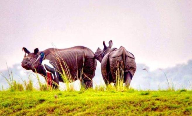 Domestic Tourism Upbeat on Overseas Visa Woes