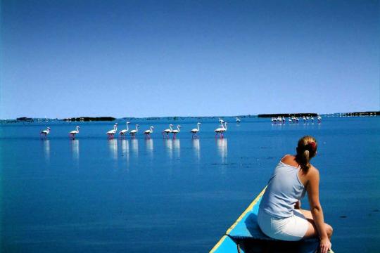 Odisha Tourism invites foreign film makers to Odisha