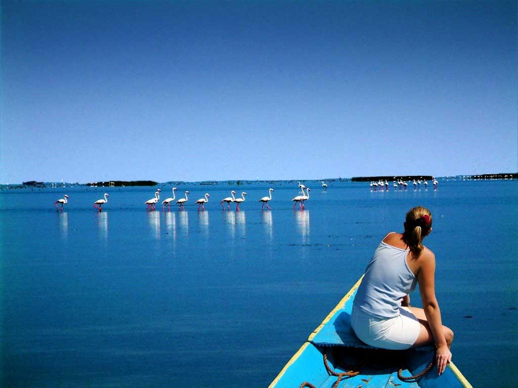 Odisha Tourism invites foreign film makers to Odisha