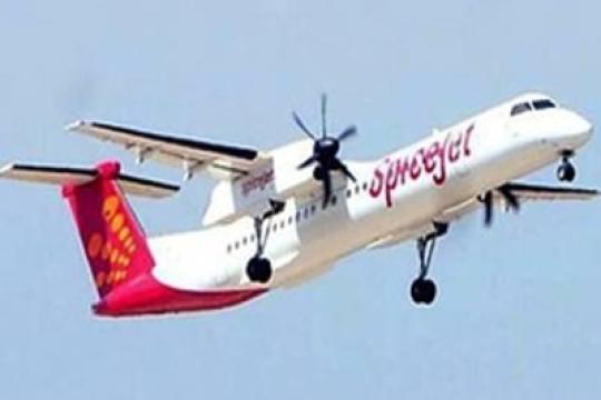 SpiceJet announces 10 new domestic flights