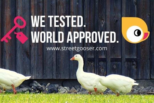 Streetgooser partners with Hospitality Industry to fight the Covid-19 impact