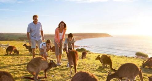 Australia sees 15% growth in arrivals from India