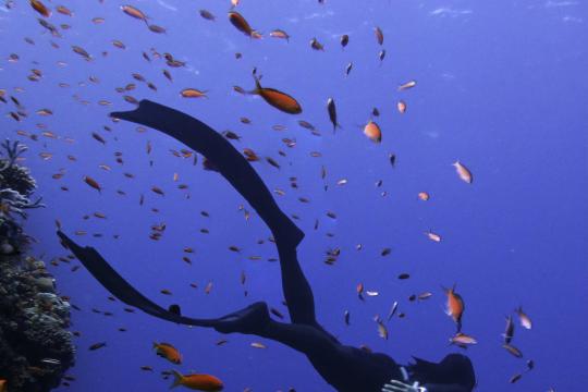 Anantara opens PADI-Certified free diving centre in Maldives