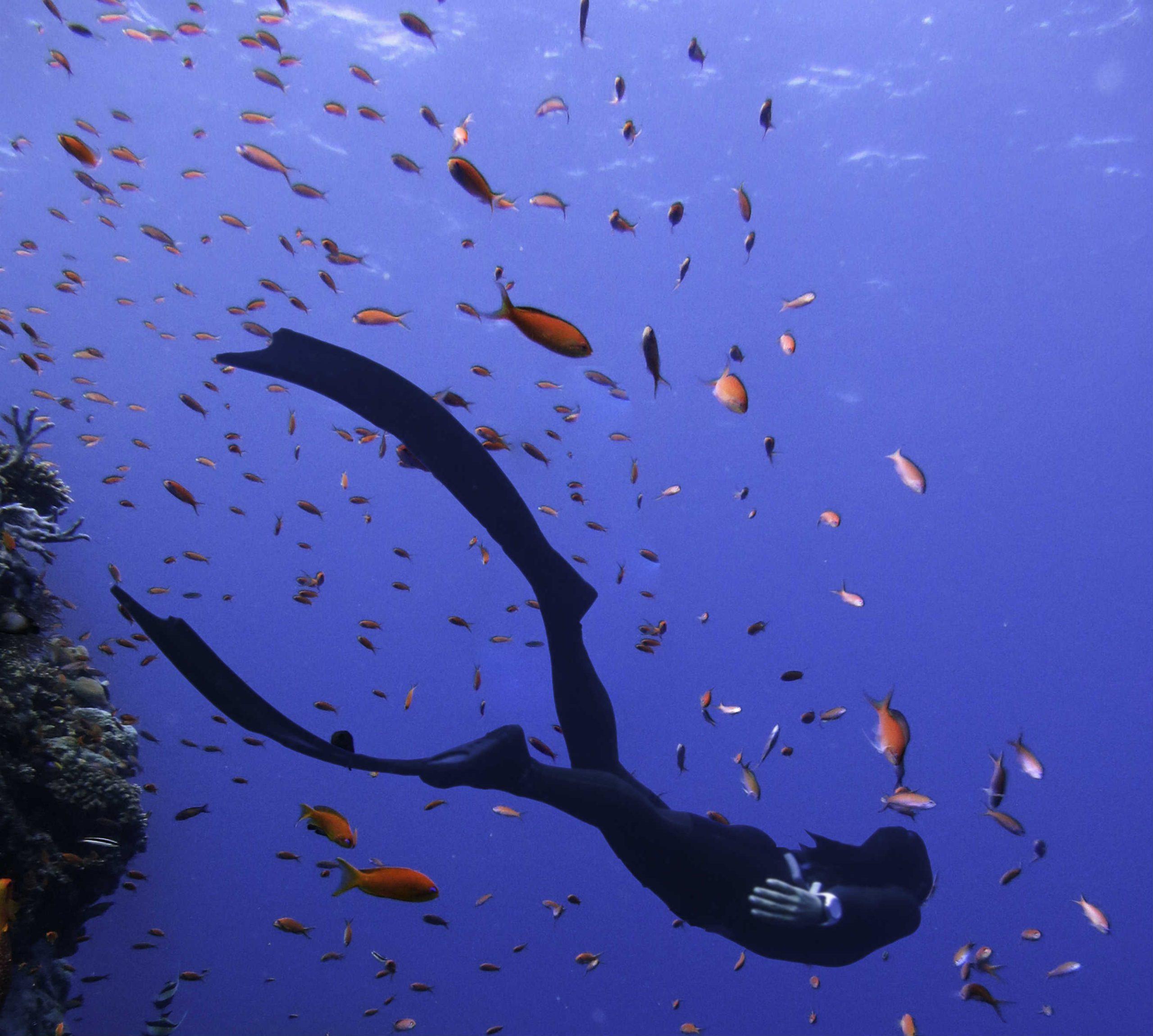 Anantara opens PADI-Certified free diving centre in Maldives