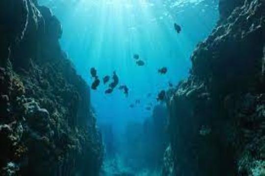 UNWTO Calls for Urgent Action to Protect Oceans
