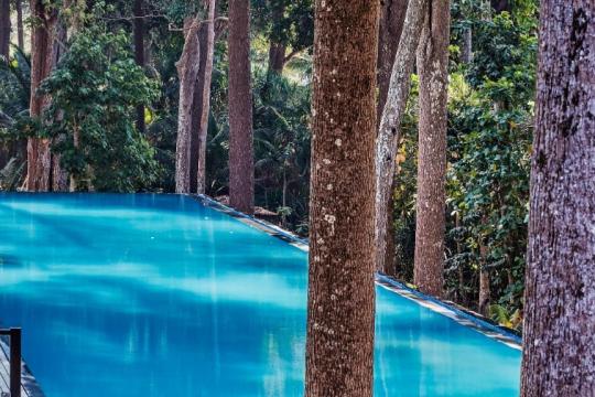 Taj Exotica Andamans celebrates Blue Flag Certification of Radhanagar Beach