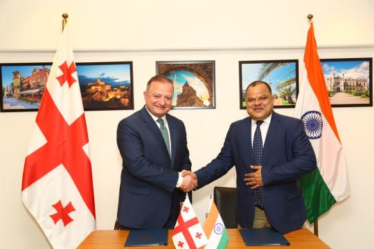 Georgia enhances co-operation with VFS Global