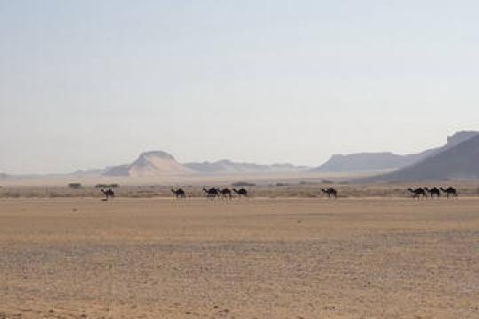 Saudi Arabia’s Al-Faw Archaeological Area joins UNESCO world heritage list