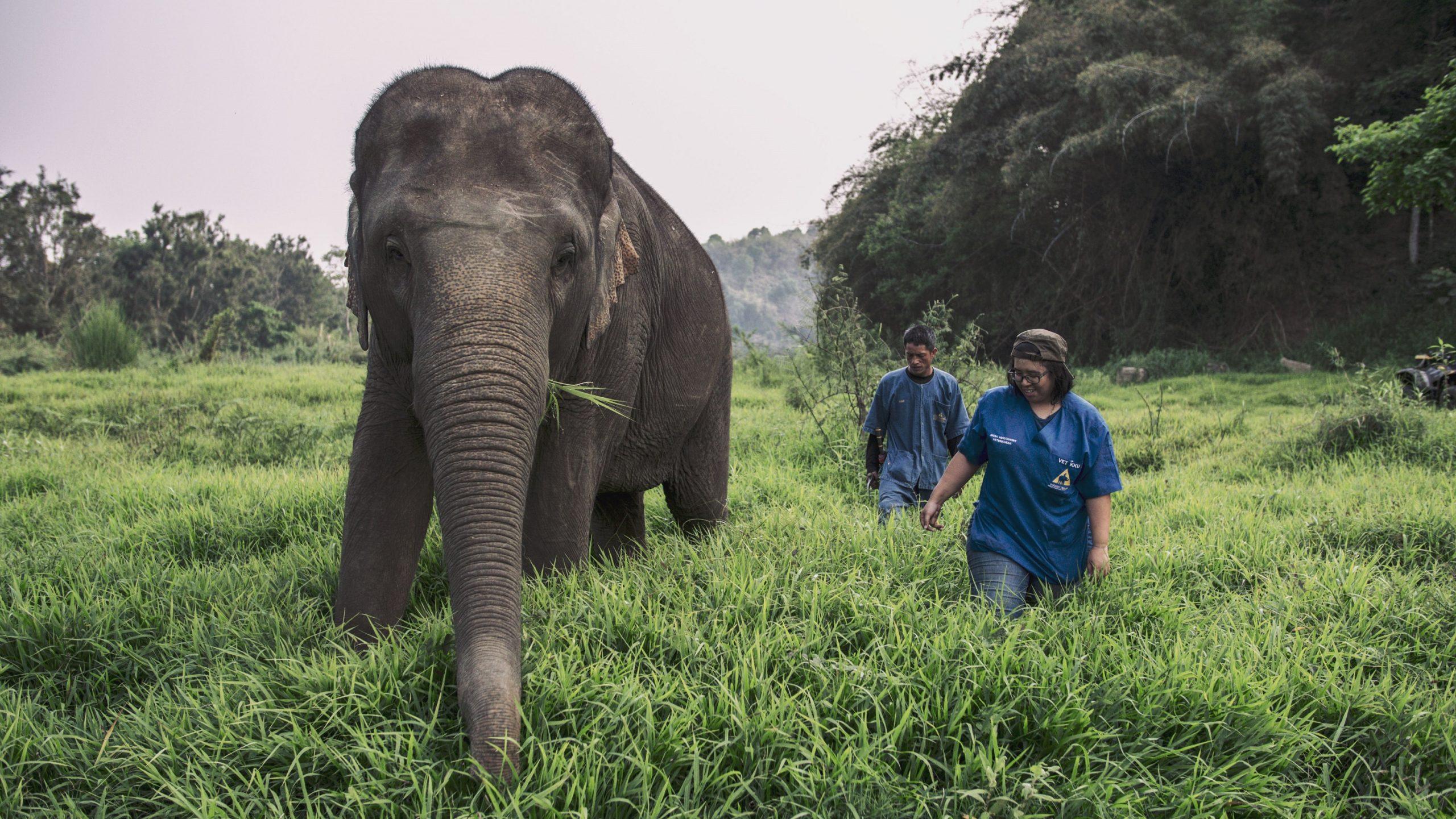 Anantara Hotels & Resorts Launches Global CSR Program ‘Dollar for Deeds’
