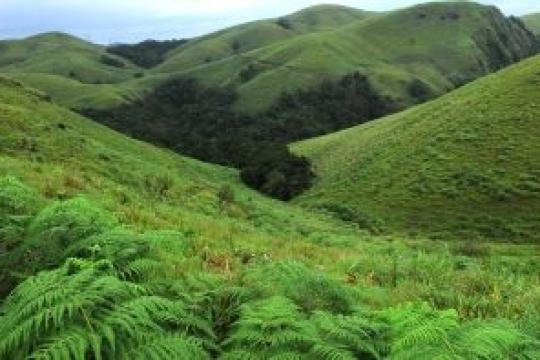 Kerala's Bio-bubble Tourism To Be A Role Model for India