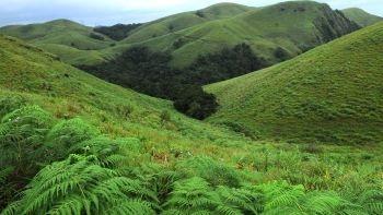Kerala's Bio-bubble Tourism To Be A Role Model for India