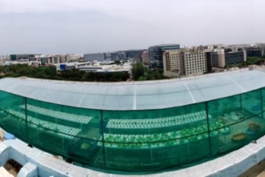 Novotel & ibis Bengaluru Outer Ring Road Celebrate Environment Day