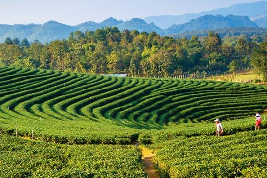 UDAN to boost tourism to North East