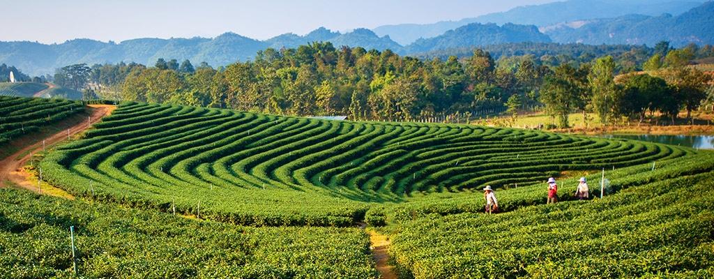 UDAN to boost tourism to North East