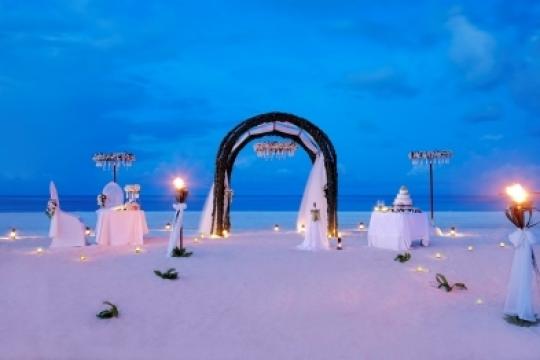 MMPRC appoints Think Strawberries India Rep