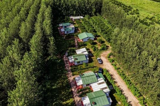 Firdaus by Citrus County Joins RARE India