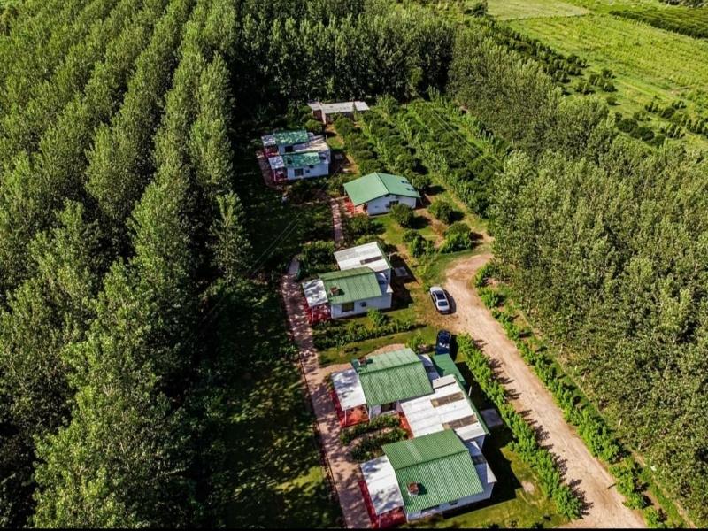 Firdaus by Citrus County Joins RARE India