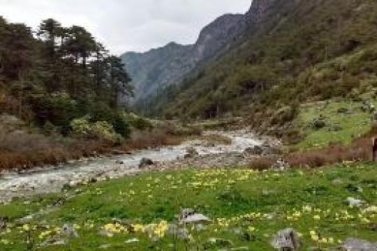 Ministry Organises Webinar on “Bailey Trail & Gorichen Trek in Arunachal Pradesh”