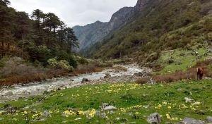 Ministry Organises Webinar on “Bailey Trail & Gorichen Trek in Arunachal Pradesh”