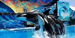 Seaworld announces 50th celebrations