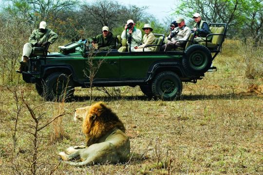 South African Tourism partners with Thomas Cook