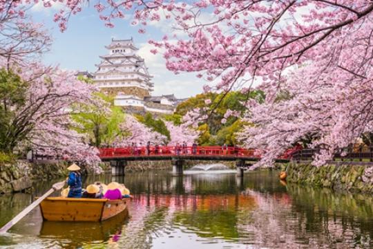 Global DMC organises India roadshow