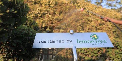 Lemon Tree Releases First Report on ESG Performance