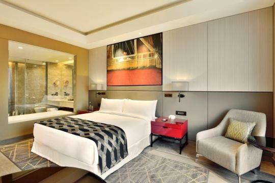 Radisson Blu opens hotel in Faridabad