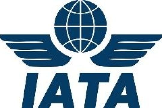 Profits Grow in 2013, but at a Slower Pace: IATA