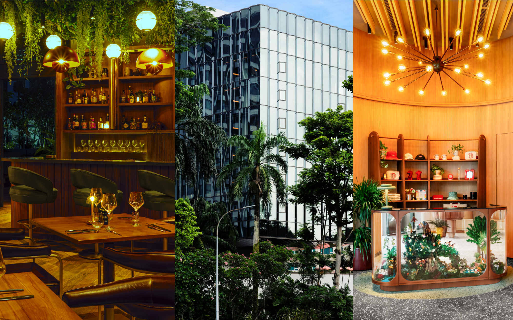 The Standard to debut in Singapore in November