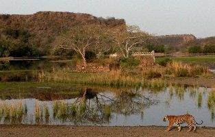 Contiki launches new India itinerary