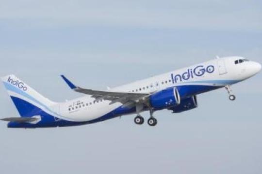 IndiGo tops the OTP chart again