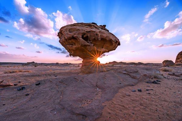 flydubai Adds Al Ula to its Network in Saudi Arabia