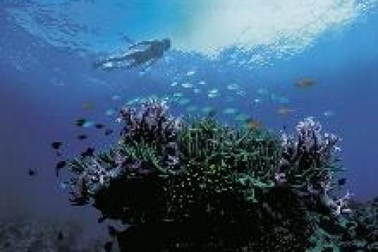 World Routes Awards 2013 Winners Announced