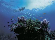 World Routes Awards 2013 Winners Announced