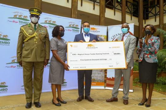 Kenya to organize inaugural Magical Kenya Tembo Naming Festival