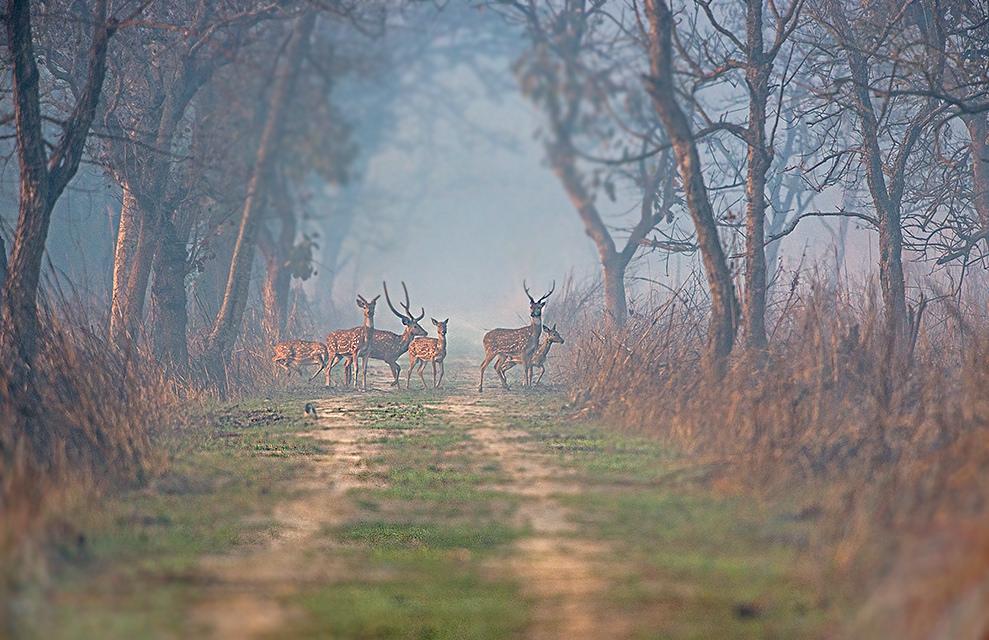 UP Govt. announces early opening for eco-tourism sites from Nov 6