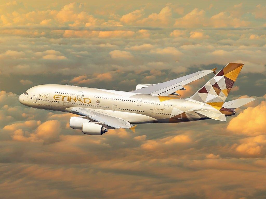 Etihad temporarily suspends all services