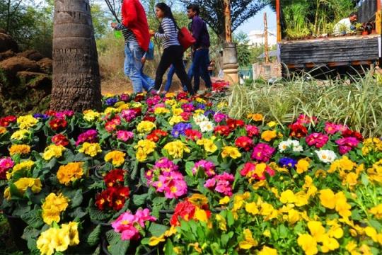 Garden Tourism Festival attracts 50000 visitors