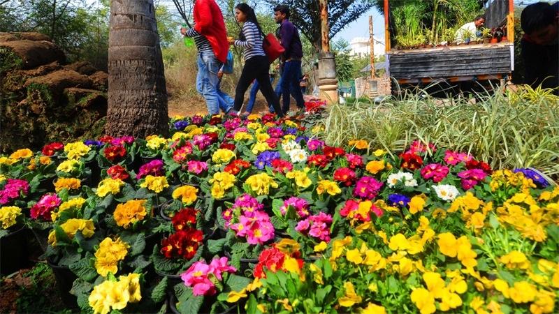 Garden Tourism Festival attracts 50000 visitors