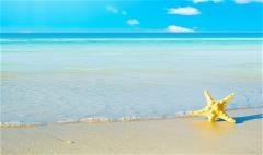 Emerging destinations eye good Indian traffic in 2014