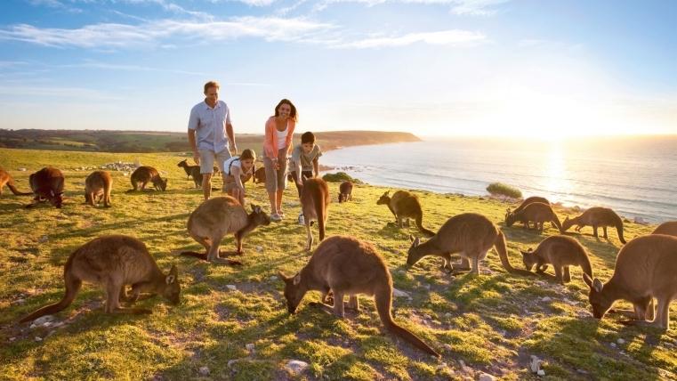India emerges as fastest growing market for Australia