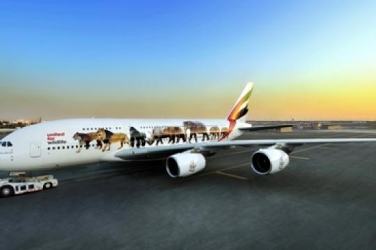 Emirates A380 continues to capture the imagination of travelers