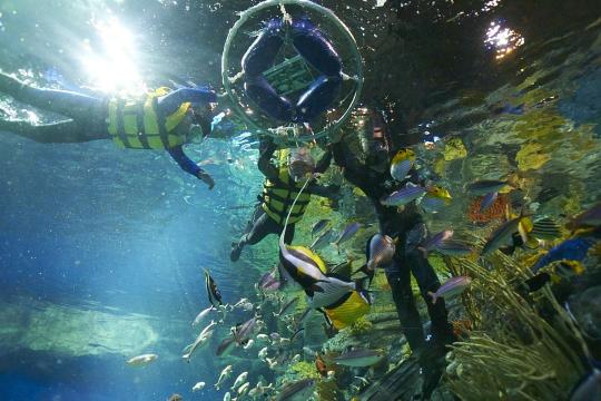 Ocean Park introduces Summer Splash 2016