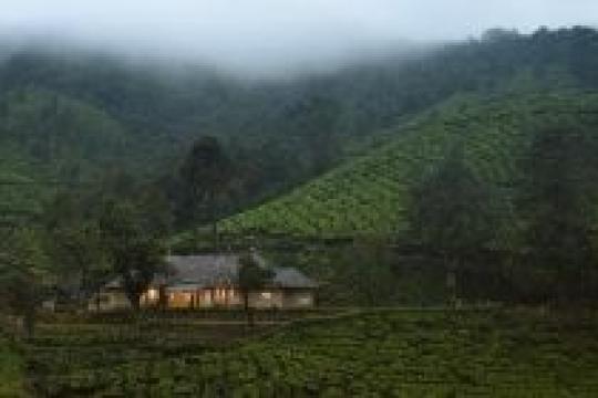 amã Stays & Trail Steps into Munnar, Kerala