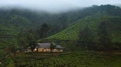 amã Stays & Trail Steps into Munnar, Kerala