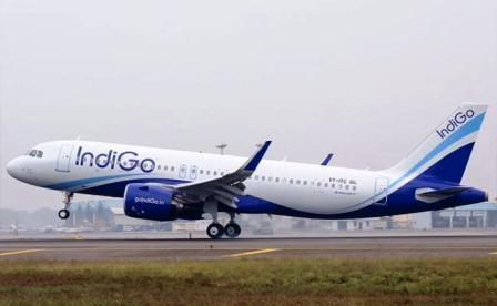 Andhra partners with IndiGo to introduce international services