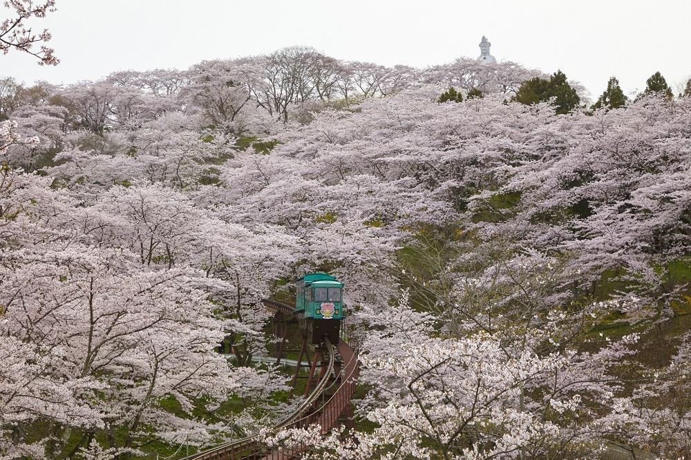 Thomas Cook sees 35% up in bookings for Japan